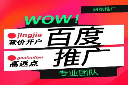 百度推广费用案例分析：如何提高ROI