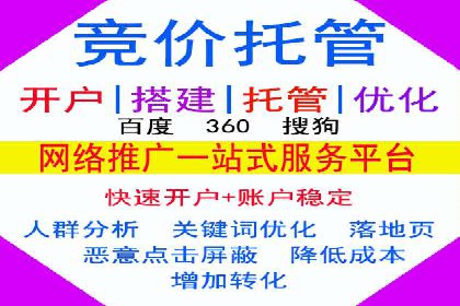 百度推广在电商行业的应用案例分析